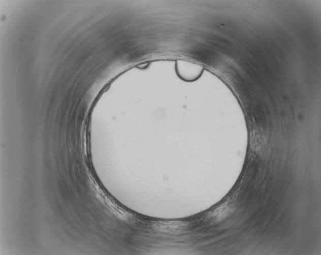 X0000057091150200509161623