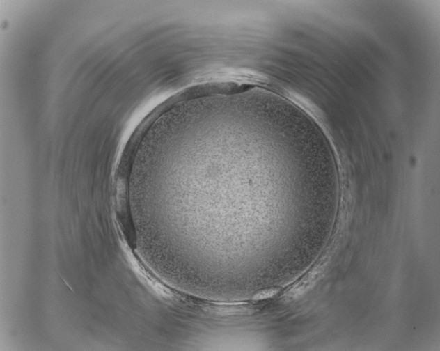 X0000057091152200509161623