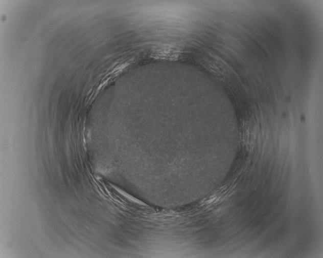 X0000057091154200509161622