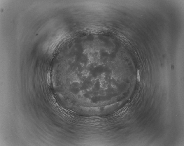 X0000057091155200509161622