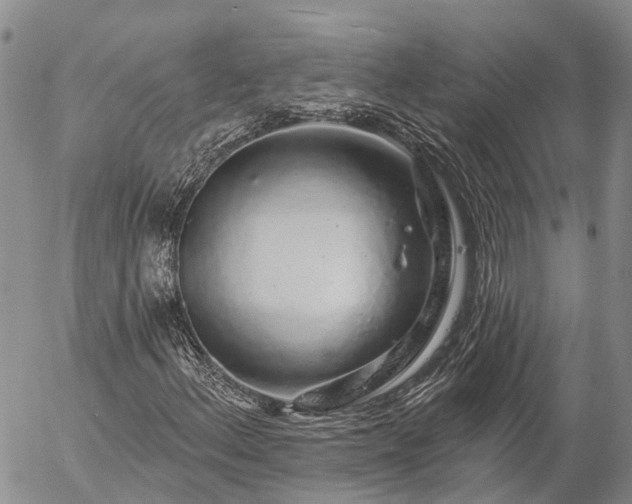 X0000057091156200509161622