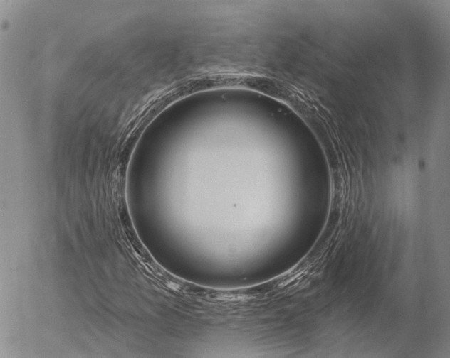 X0000057091157200509161622