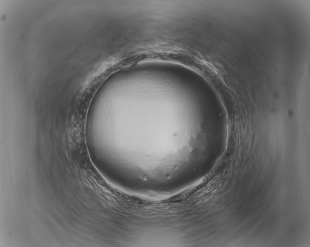 X0000057091159200509161622