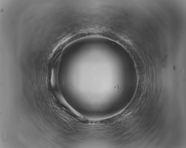 X0000057091160200509161622