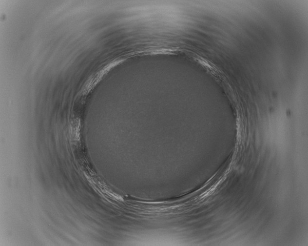 X0000057091161200509161622