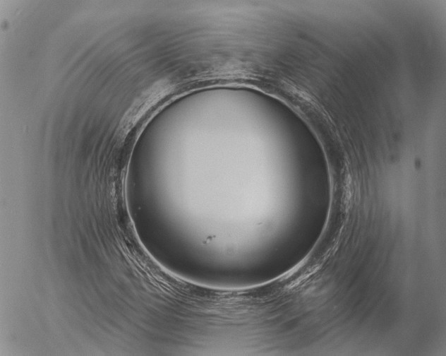 X0000057091162200509161622