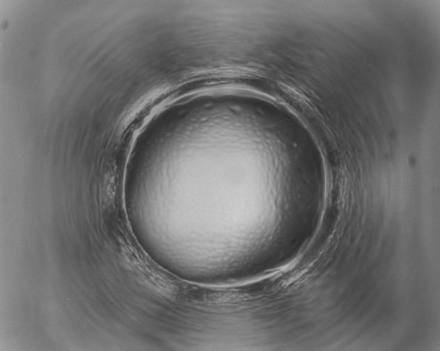 X0000057091163200509161622