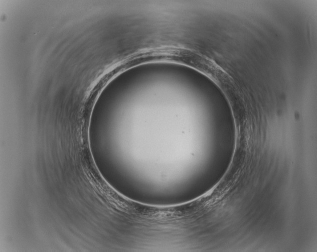 X0000057091166200509161622