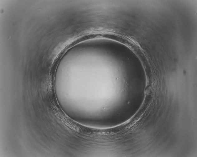 X0000057091167200509161622