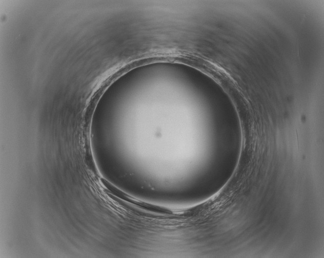 X0000057091168200509161622