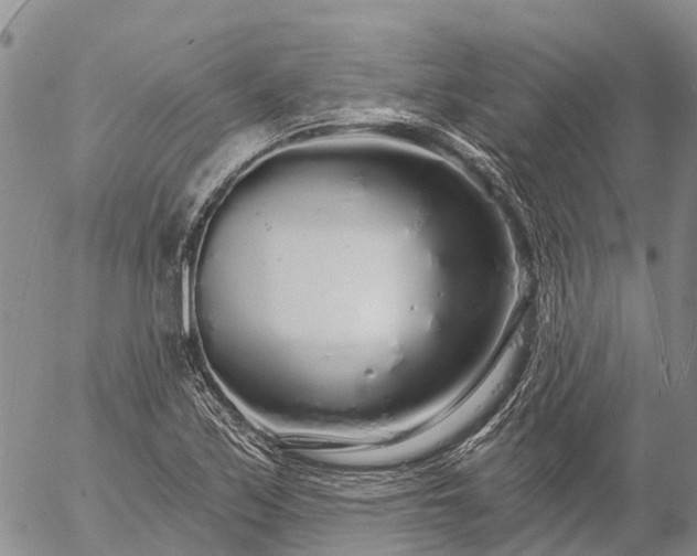 X0000057091171200509161622