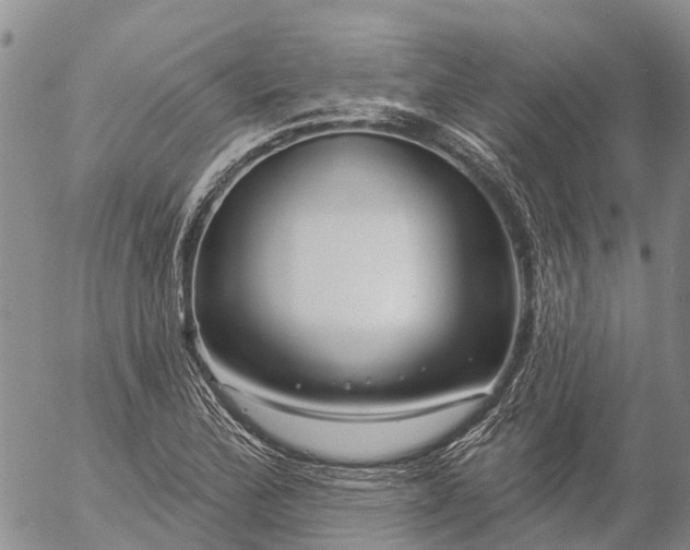 X0000057091172200509161622