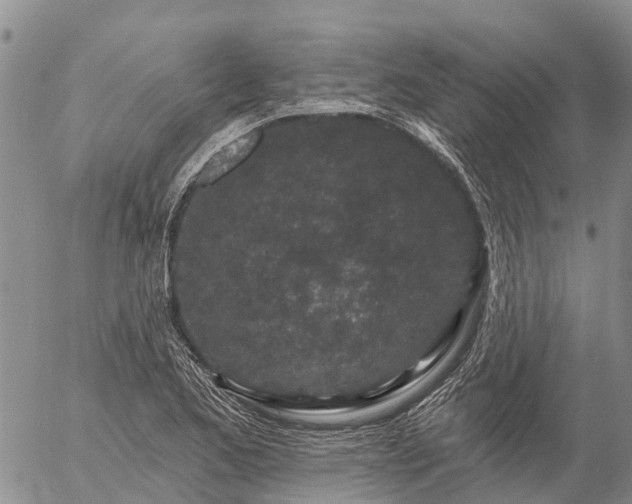 X0000057091173200509161622