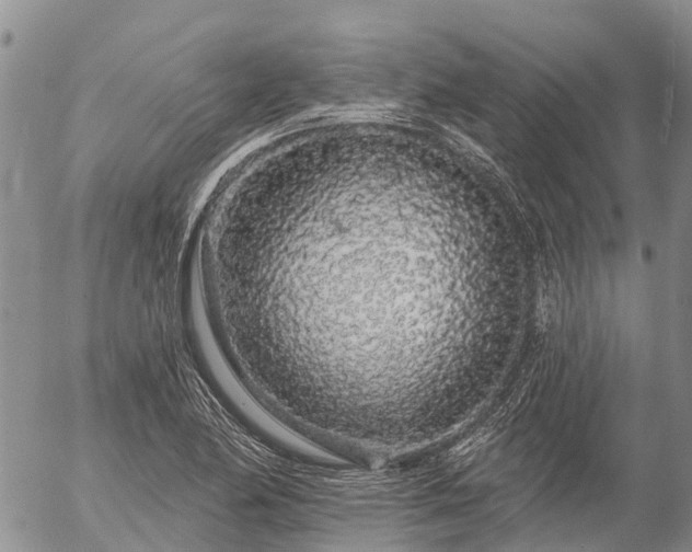 X0000057091174200509161622