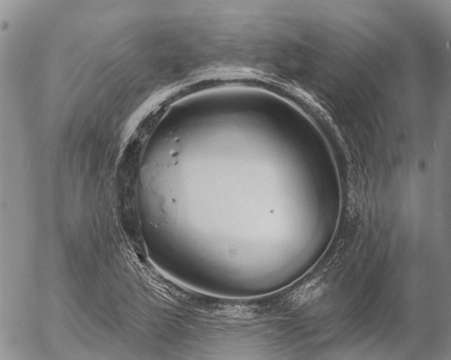 X0000057091175200509161622