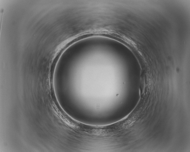 X0000057091176200509161622