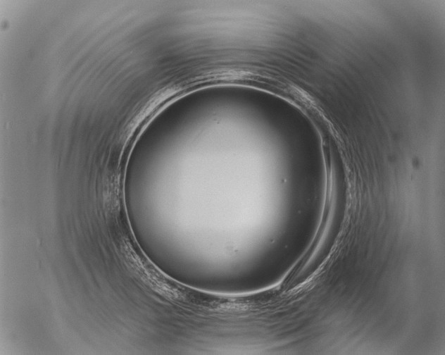 X0000057091178200509161622