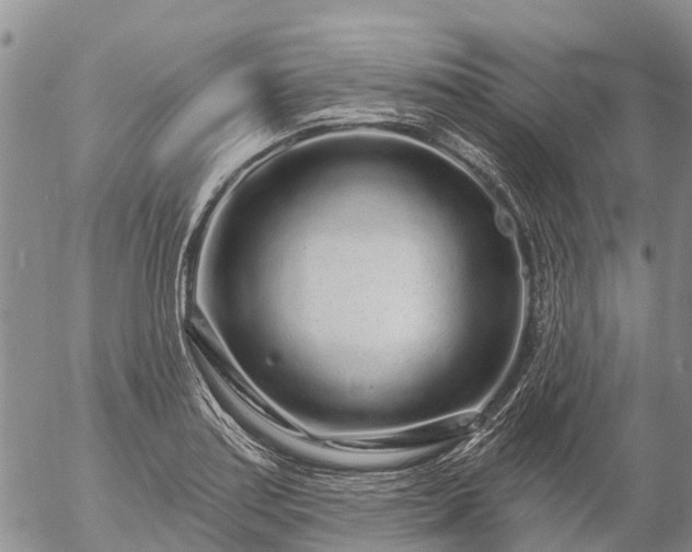 X0000057091179200509161622