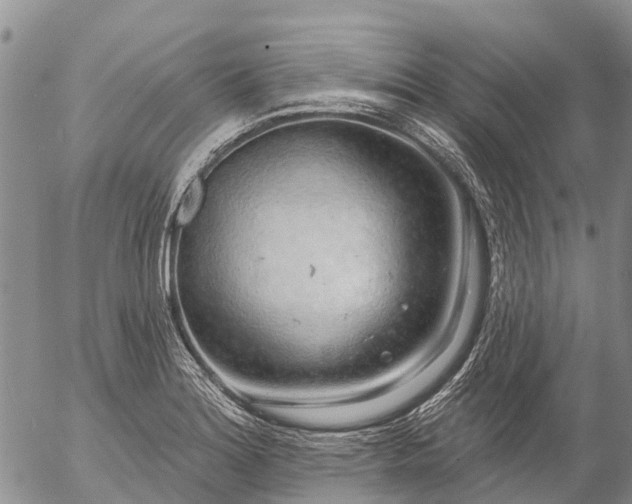 X0000057091180200509161622