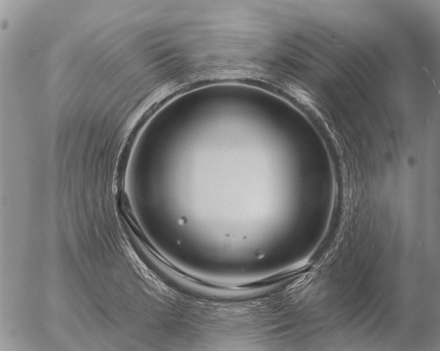 X0000057091181200509161622