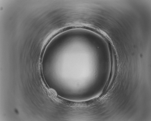 X0000057091183200509161621