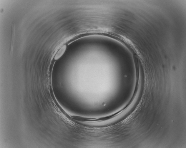 X0000057091184200509161621