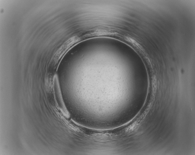 X0000057091185200509161621