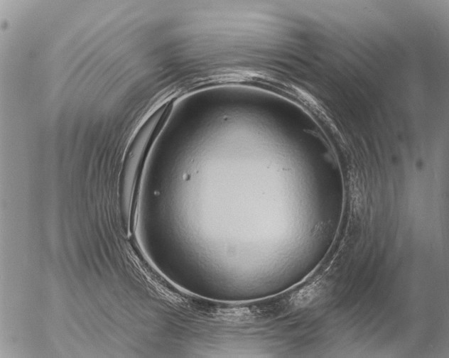 X0000057091186200509161621