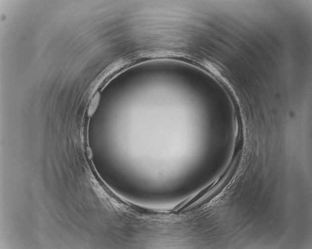 X0000057091189200509161621