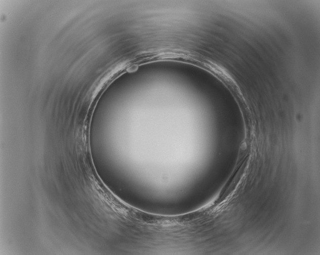 X0000057091190200509161621