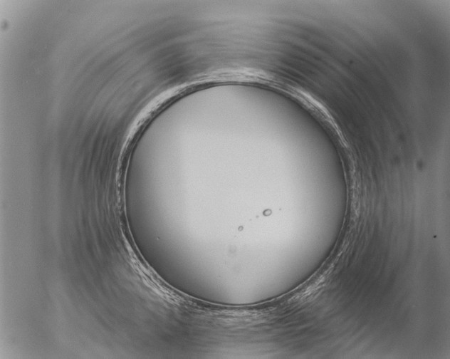 X0000057091192200509161621