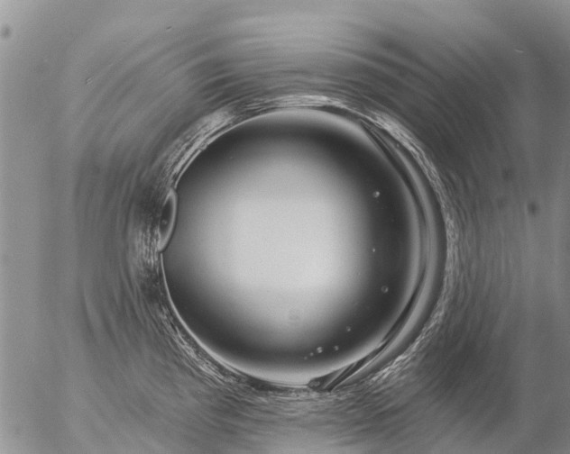 X0000057091193200509161621