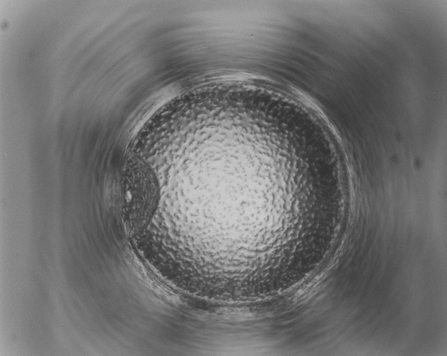 X0000057091194200509161621