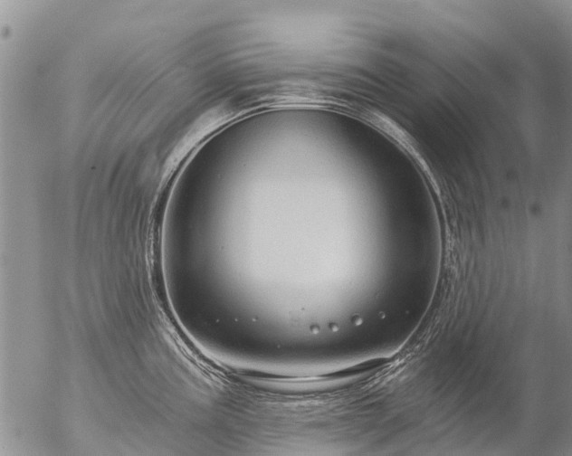 X0000057091195200509161621