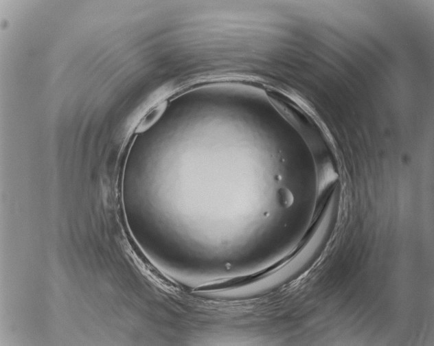 X0000057091197200509161621