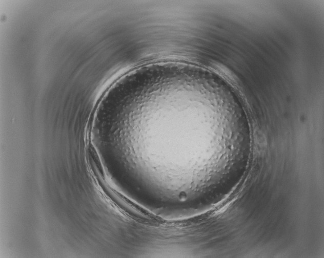 X0000057091198200509161621