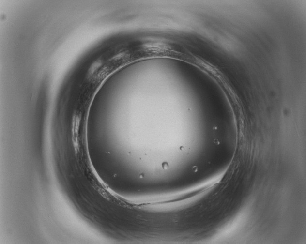 X0000057091199200509161621