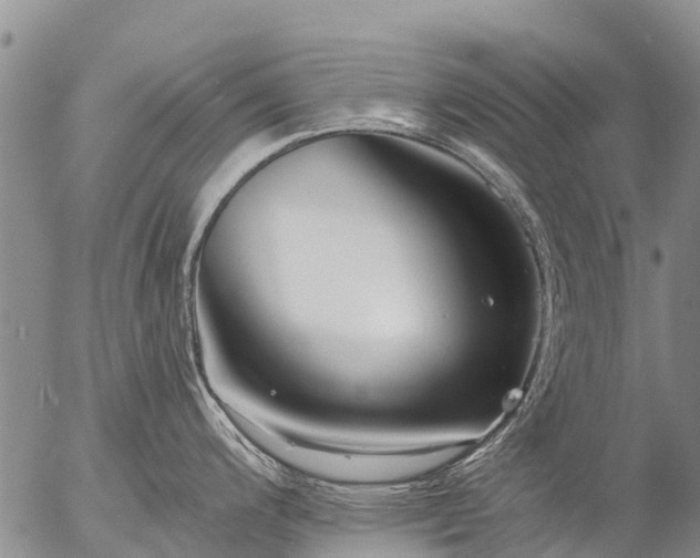 X0000057091200200509161621