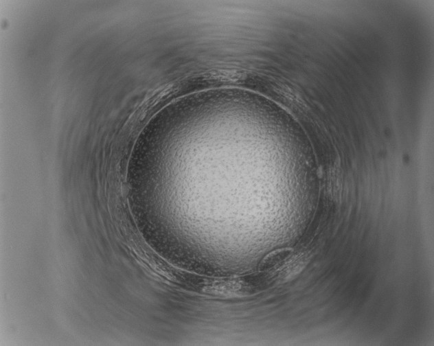 X0000057091201200509161620