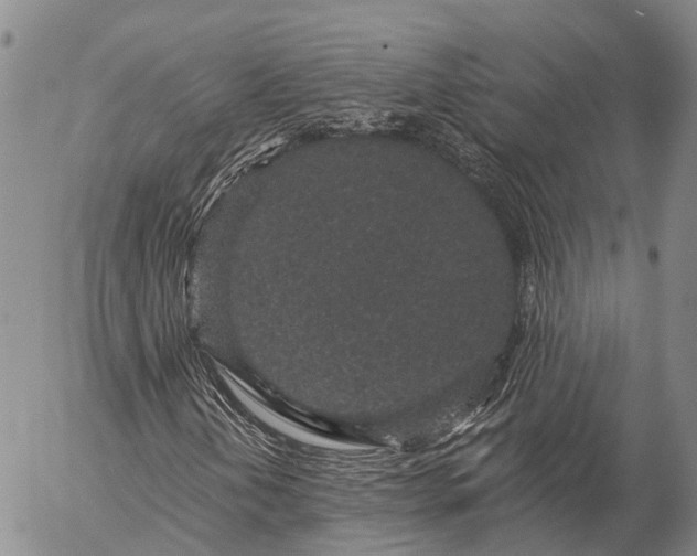 X0000057091202200509161620