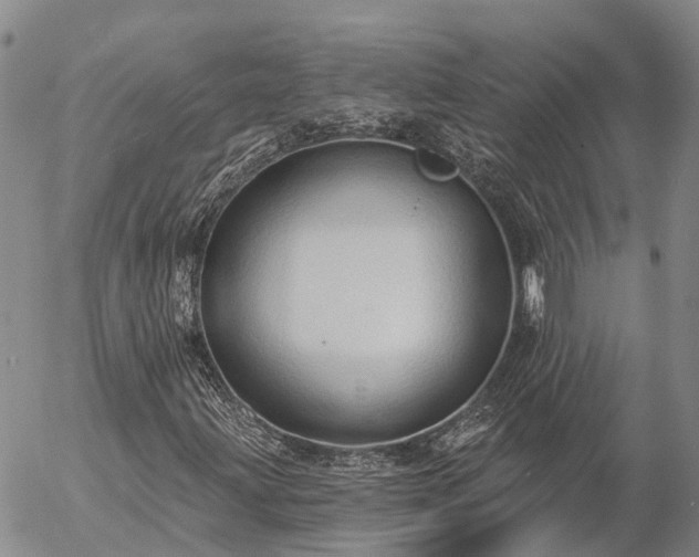 X0000057091203200509161620