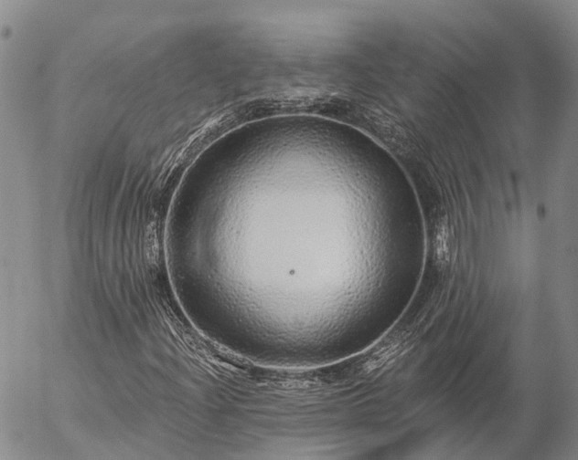 X0000057091204200509161620