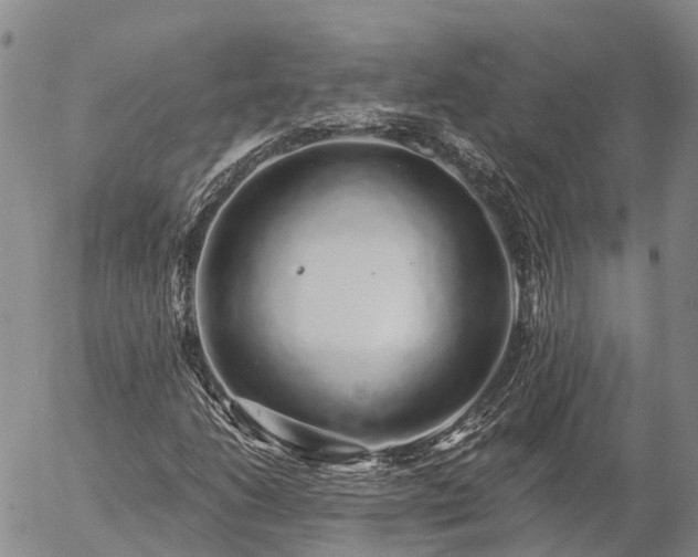 X0000057091206200509161620