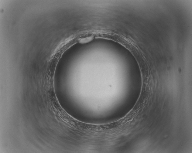 X0000057091207200509161621