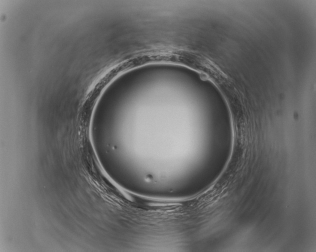 X0000057091208200509161621