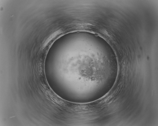 X0000057091211200509161621