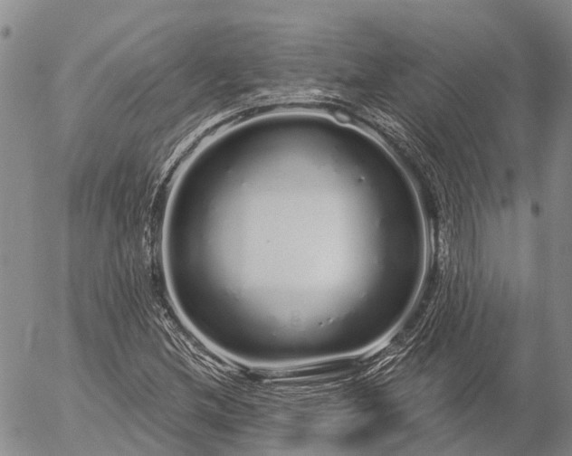 X0000057091212200509161621