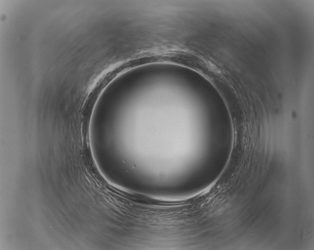 X0000057091214200509161621