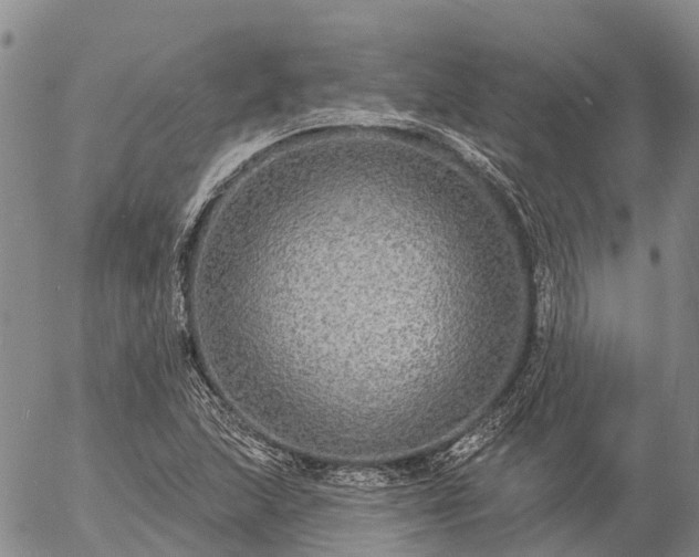 X0000057091215200509161621