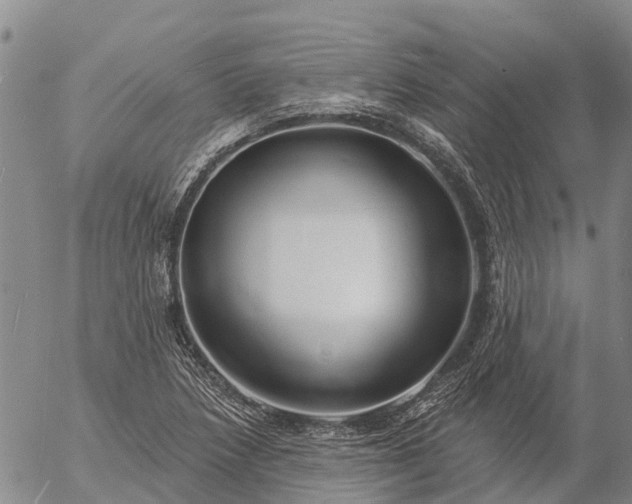 X0000057091218200509161621